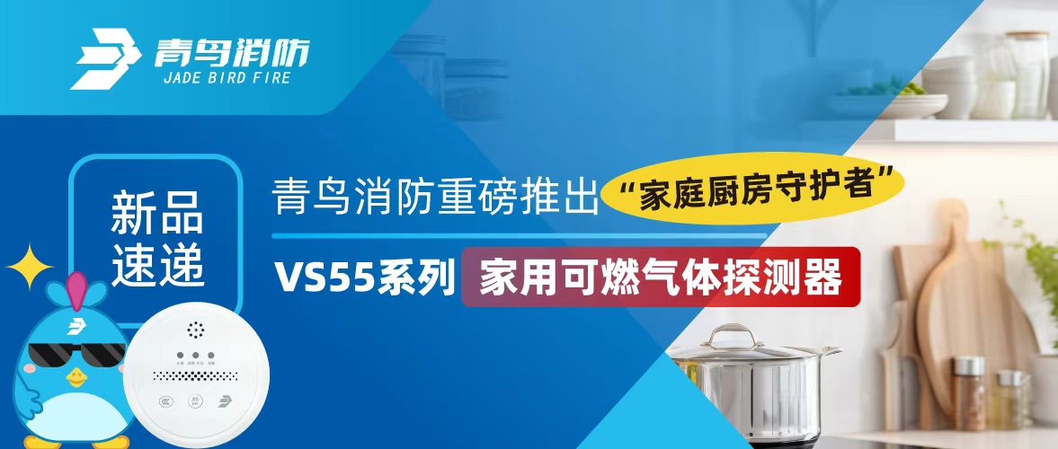 新品速遞 | 青鳥消防重磅推出&ldquo;家庭廚房守護(hù)者&rdquo;&mdash;&mdash;VS55系列家用可燃?xì)怏w探測器